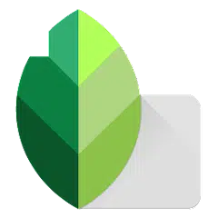 snapseed mod apk